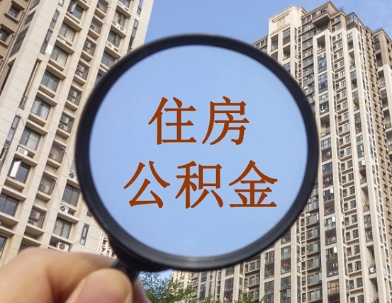 梨树县退休后查不到公积金明细了吗（退休后公积金查询不到原因）